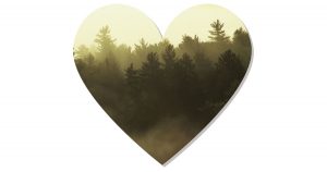 steamy-romance-novels